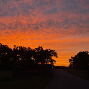 Meet your Posher, Mia